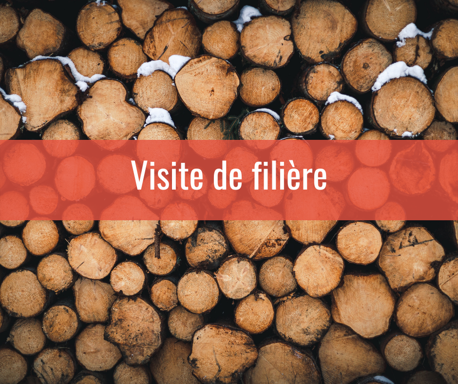 Forêt, bois, bosquets et boqueteaux - Biomasse Normandie