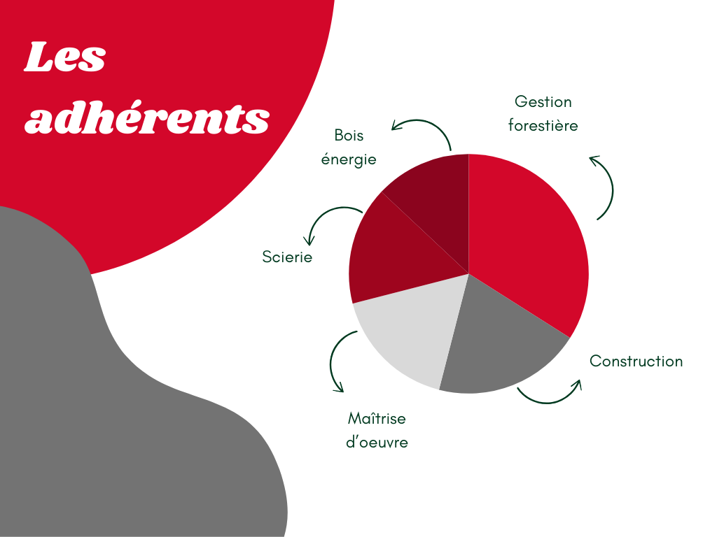 Green Modern Pie Chart Graph